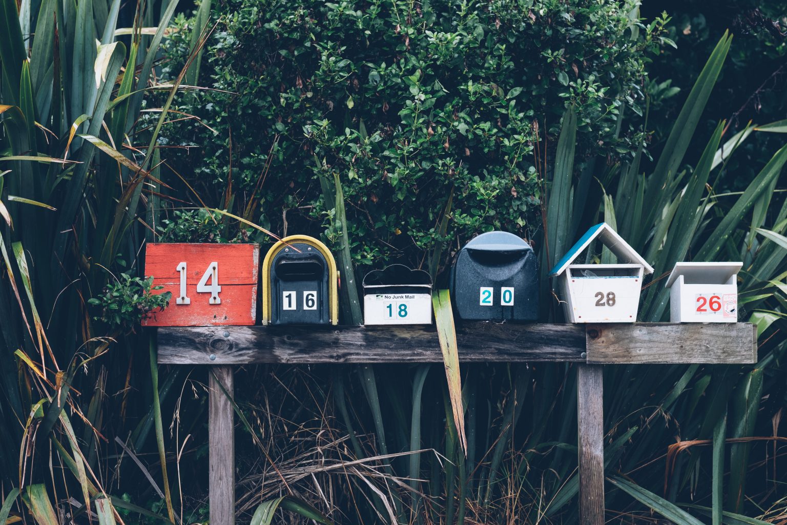 Festival FOCUS | mailboxes to represented our contact infos